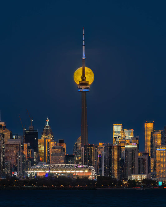 Beaver Moon Over Toronto